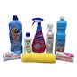 The Big Deep Cleaning Bundle